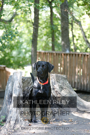 2022-KathleenRileyPhotography-8864