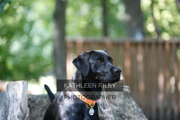 2022-KathleenRileyPhotography-8876