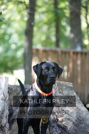 2022-KathleenRileyPhotography-8881