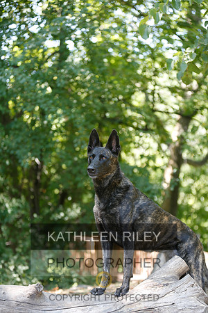 2022-KathleenRileyPhotography-8921