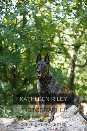 2022-KathleenRileyPhotography-8923