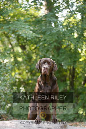 2022-KathleenRileyPhotography-8982