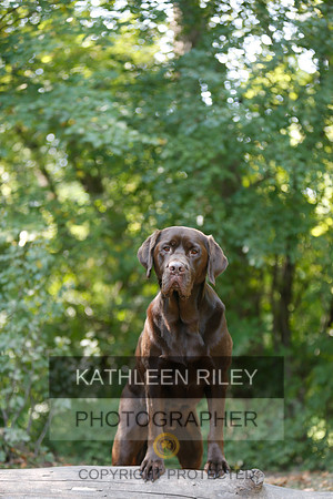 2022-KathleenRileyPhotography-8983