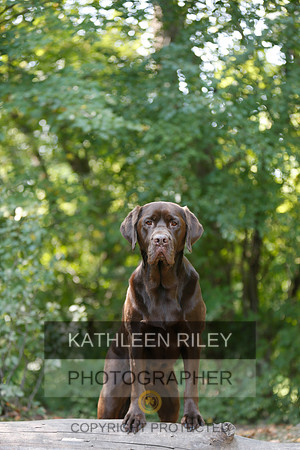 2022-KathleenRileyPhotography-8986