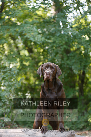 2022-KathleenRileyPhotography-8995