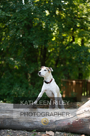 2022-KathleenRileyPhotography-8960