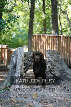 2022-KathleenRileyPhotography-9003