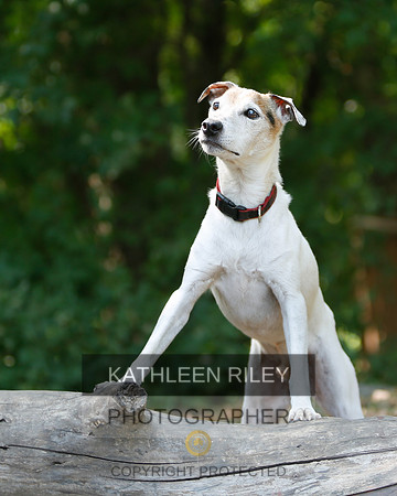 2022-KathleenRileyPhotography-8963