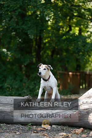 2022-KathleenRileyPhotography-8967