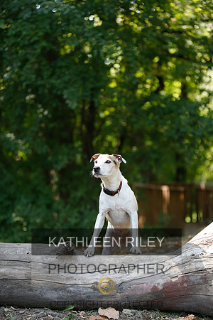 2022-KathleenRileyPhotography-8971