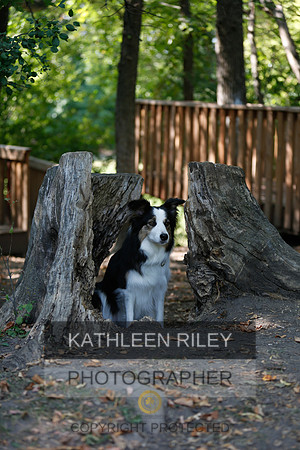 2022-KathleenRileyPhotography-9026