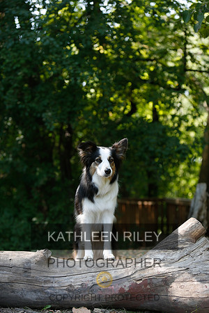 2022-KathleenRileyPhotography-9033