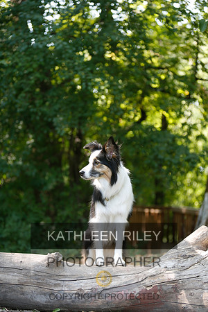 2022-KathleenRileyPhotography-9037