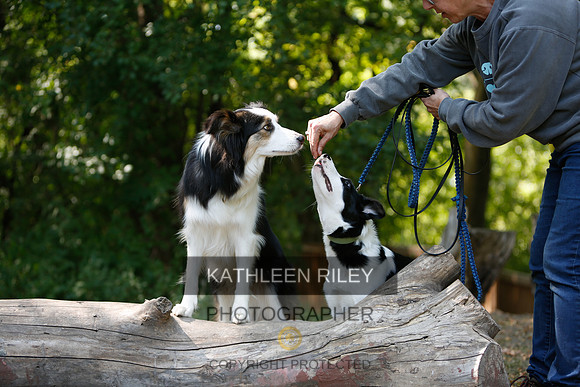 2022-KathleenRileyPhotography-9057