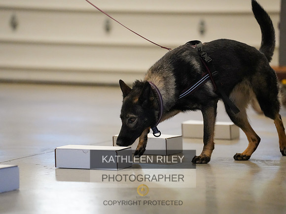 2022-KathleenRileyPhotography-03869
