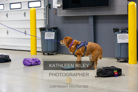 2022-KathleenRileyPhotography-4652
