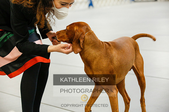 2022-KathleenRileyPhotography-0819