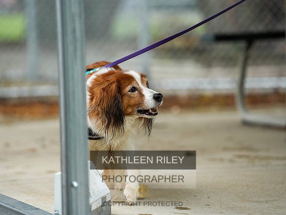 2022-KathleenRileyPhotography-06961