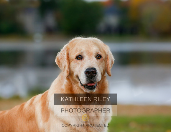 2022-KathleenRileyPhotography-0194