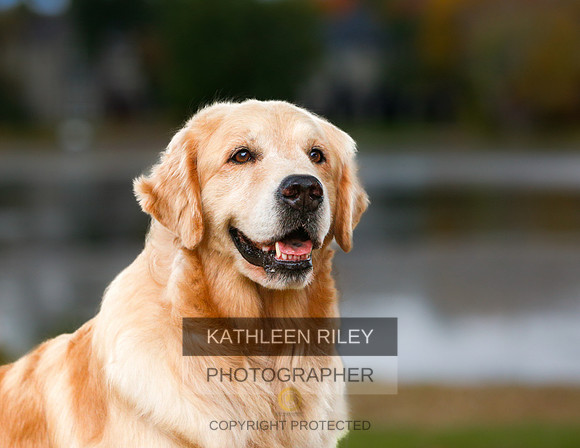 2022-KathleenRileyPhotography-0209