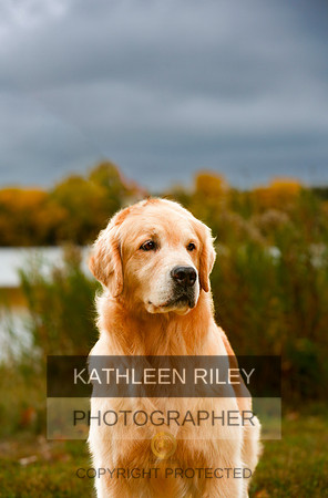 2022-KathleenRileyPhotography_S2_0102