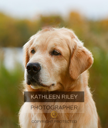 2022-KathleenRileyPhotography_S2_0087