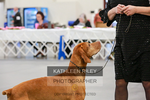 2022-KathleenRileyPhotography-8029