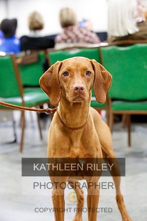 2022-KathleenRileyPhotography-1234