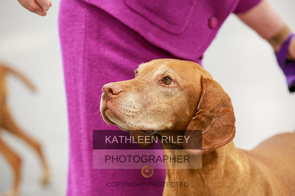 2022-KathleenRileyPhotography-8170