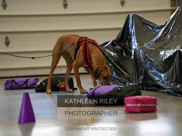 2022-KathleenRileyPhotography-03781