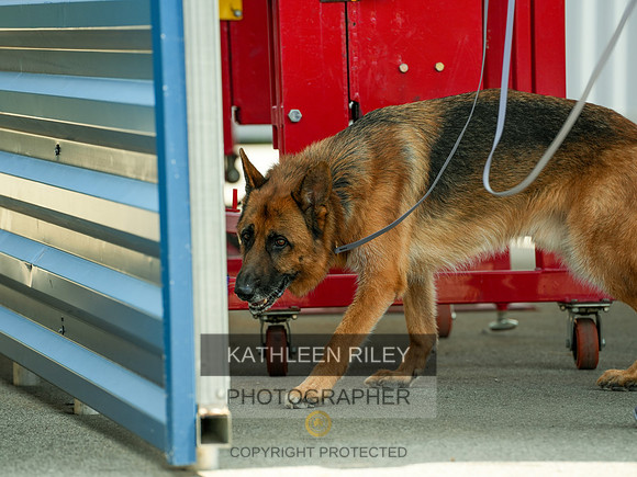 2022-KathleenRileyPhotography-04922