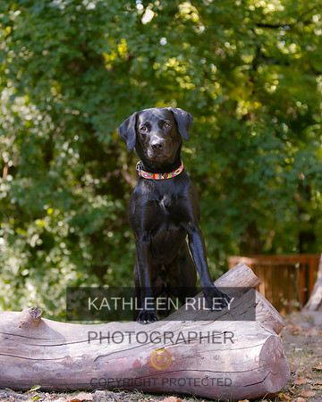2022-KathleenRileyPhotography-8835