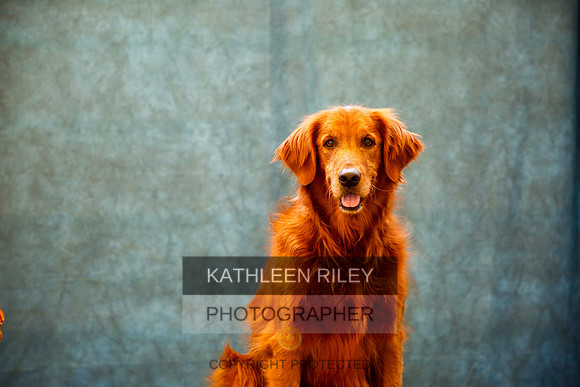 2022-KathleenRileyPhotography-0112