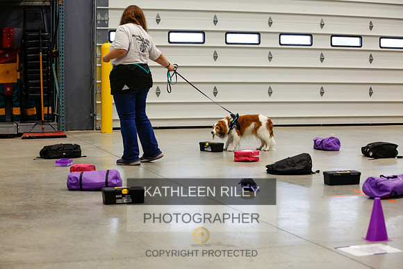 2022-KathleenRileyPhotography-6934