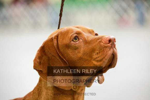 2022-KathleenRileyPhotography-8666