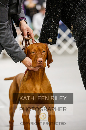 2022-KathleenRileyPhotography-1649