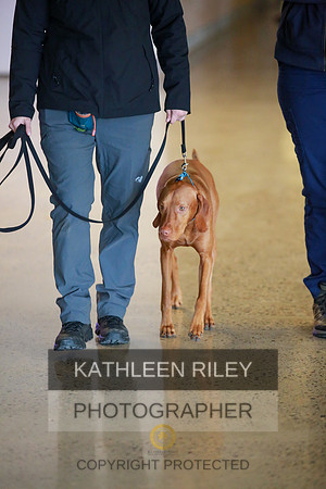 2022-KathleenRileyPhotography-7635