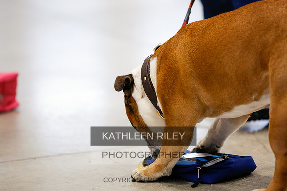 2022-KathleenRileyPhotography-7340