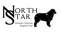 2025-09-27 Northstar Miniature American Shepherd Club Farm Dog Certified Test