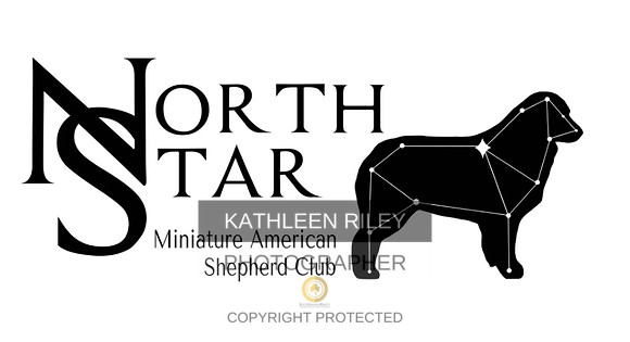 North Star Miniature American Shepherd Club Logo