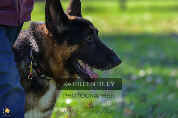 SJLT6061