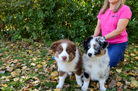 2025-09-27 PROOFS Puppy Photos