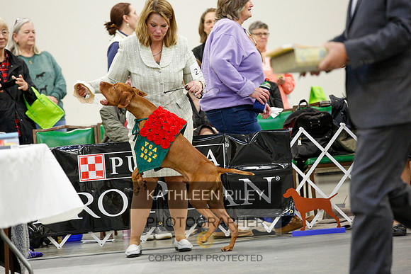 2022-KathleenRileyPhotography-1441