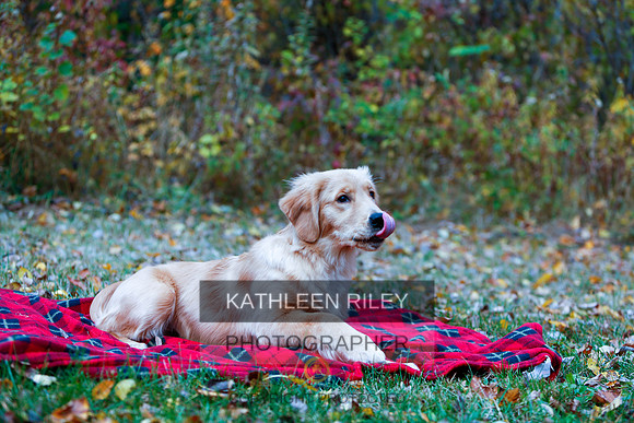 2022-KathleenRileyPhotography-1137