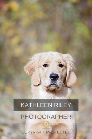 2022-KathleenRileyPhotography-1153