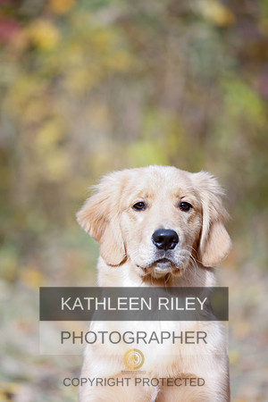 2022-KathleenRileyPhotography-1154