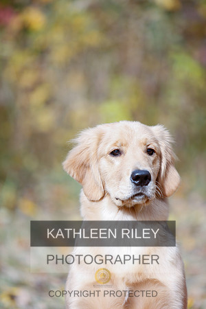 2022-KathleenRileyPhotography-1156