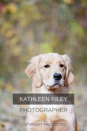 2022-KathleenRileyPhotography-1157