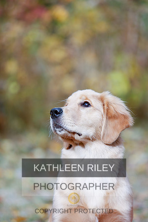2022-KathleenRileyPhotography-1164