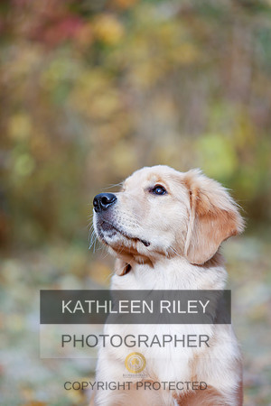 2022-KathleenRileyPhotography-1165